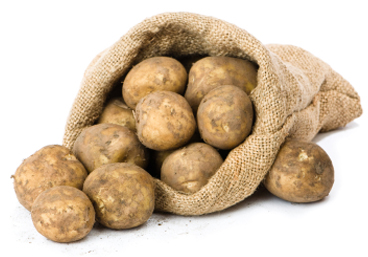 Методы хранения картофеля в зимний период