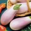 eggplants2.jpg