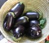 eggplants3.jpg